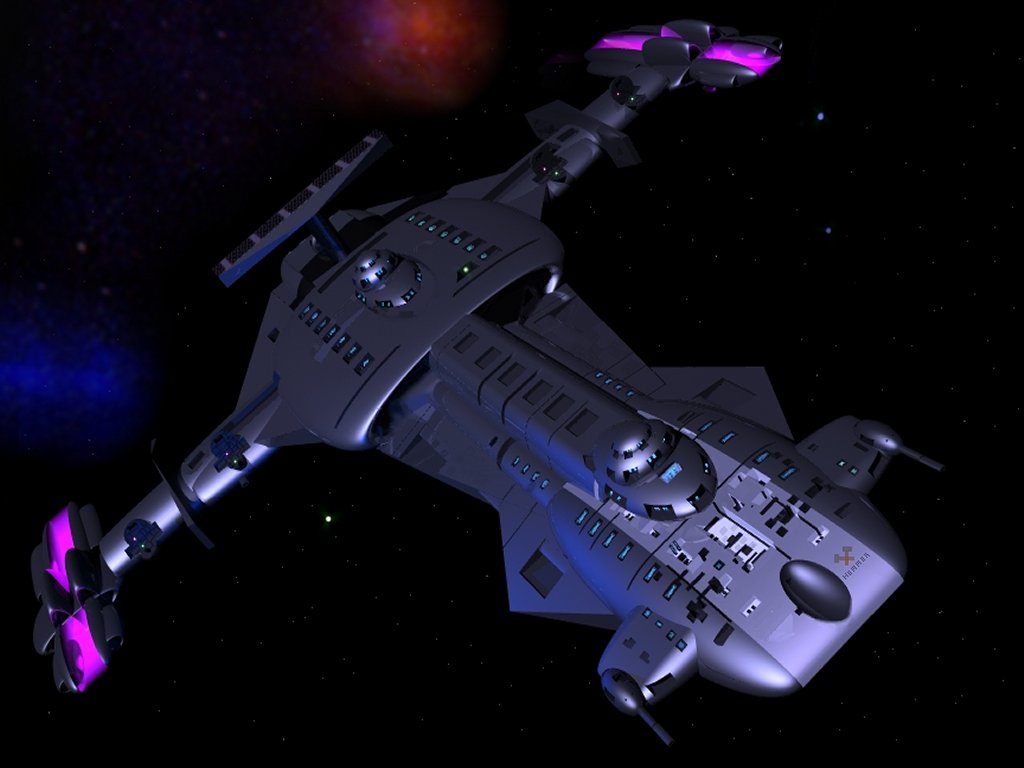 sfhammerhead.jpg