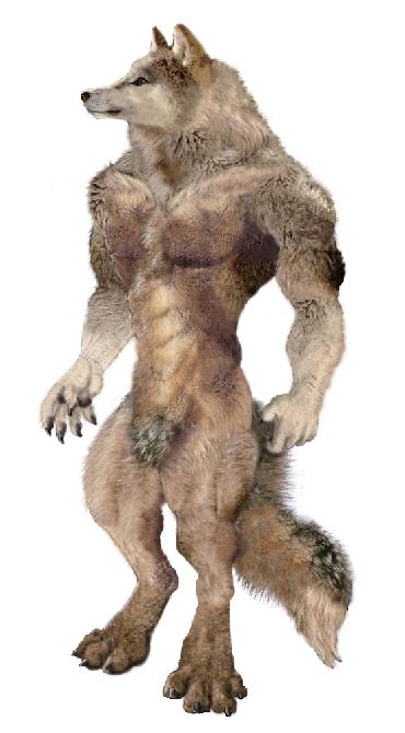 tundrawolf2.jpg